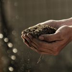 Hands holding soil