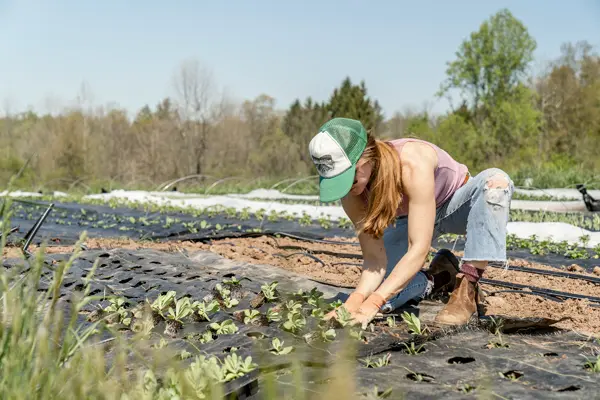 Farmer in field